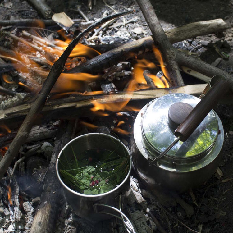 wild-tea-0829