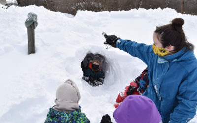 Week 5 Chickadees, Thursday: Swimming in Snow!