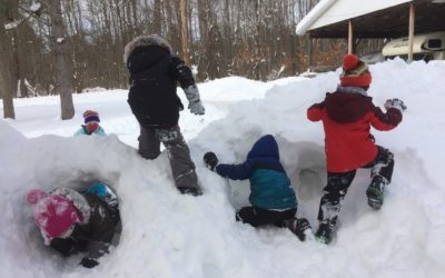 Week 5 Nuthatches, Thursday: Snow much fun!