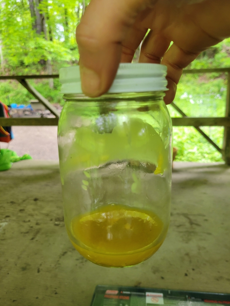 wax melted